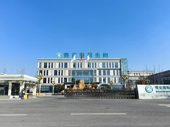 Shandong Saikesaisi Hydrogen Energy Co., Ltd linia produkcyjna producenta