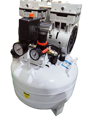 kupować QL-40 Biały Laboratoryjny Generator Powietrza Z 40LPM 26KG Do Laboratorium produkcja online